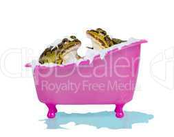 Bubble bath for pet frogs