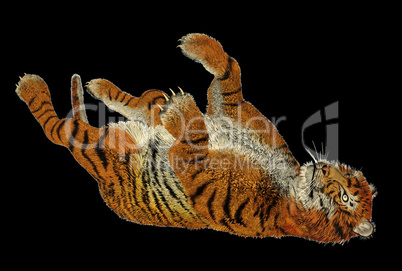 Tiger playing