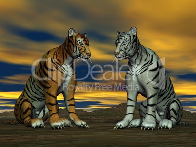 Two tigers and cloudy sky