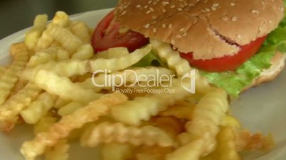 Cheeseburger and fries