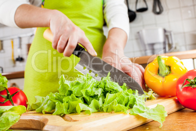 Woman's hands cutting vegetables