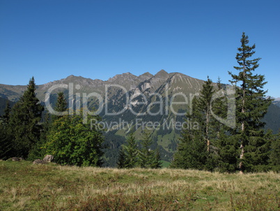 Mountain Near Gstaad Named Primelod