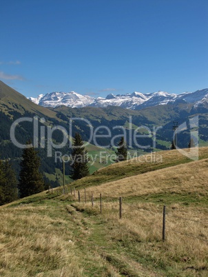 View From The Wispile, Bernese Oberland