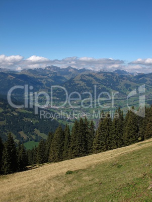 Meadow, Forest And Village Named Saanen