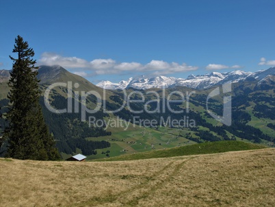 Scenery Near Gstaad, Bernese Oberland