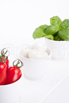 frische tomaten mozzarella mit Basilikum salat caprese