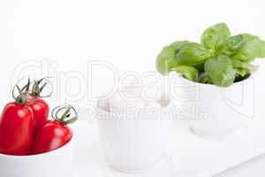 frische tomaten mozzarella mit Basilikum salat caprese