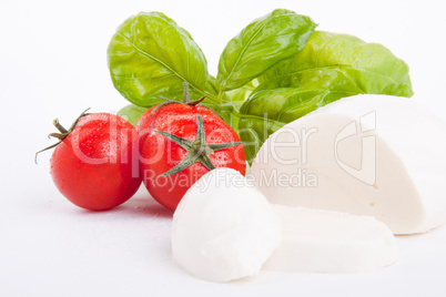 frische tomaten mozzarella mit Basilikum salat caprese