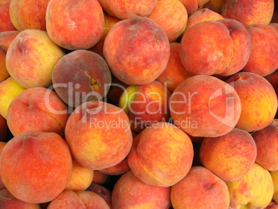 Many bright tasty peaches