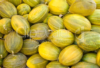 Organic Ripe Melon Heap