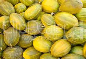 Organic Ripe Melon Heap