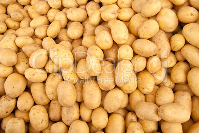 Organic Potato Heap At A Street Market