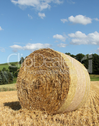 bale of straw in front of blue sky