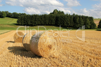 bale of straw in front of forest