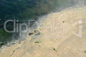 polluted water in the port of Ploumanac h