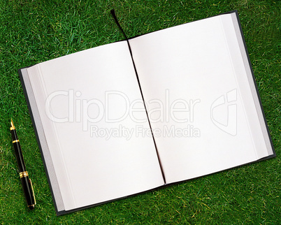 blank opened book