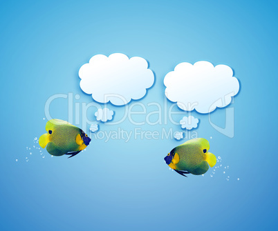 angelfish with speech bubbles.