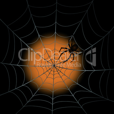 Spiderweb with Spider