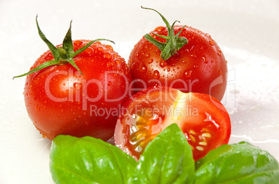 basil and tomatoes