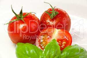 basil and tomatoes