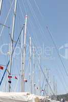 Many masts against the sky