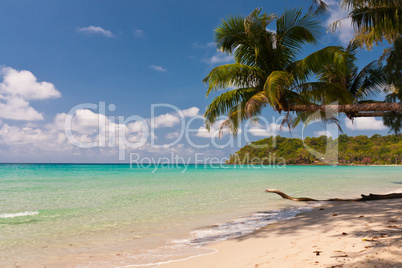 Tropischer Strand, Tropical beach