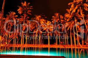Night illumination of swimming pool and palms at luxury hotel, B