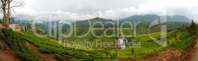 The panorama of tea plantations and waterfall in Nuwara Eliya, S