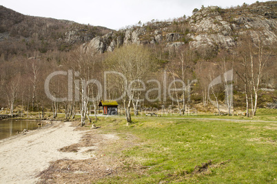 trees with grassland and mountains