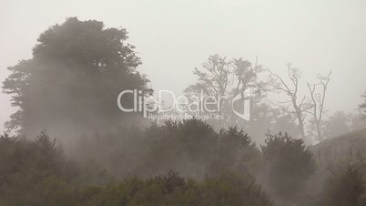 Nebel am Ibanetapaß