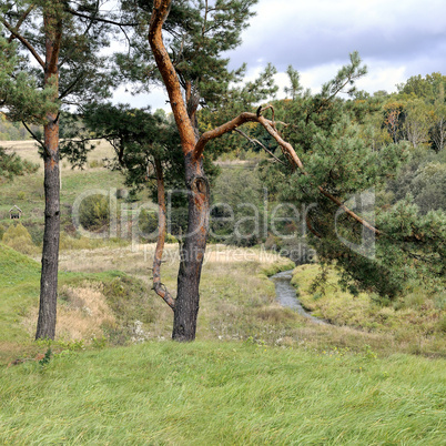 Rural landscape of Lithuania