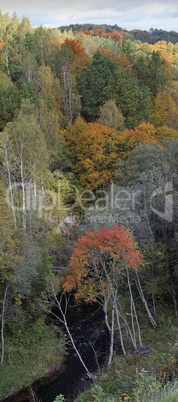 Wild river landscape at a fall.