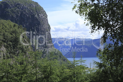 Blick auf den Lysefjord