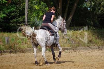 Reitsport auf dem Friesen Pferd im Sommer