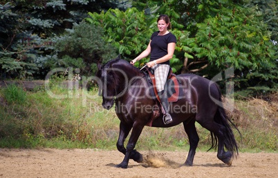 Reitsport auf dem Friesen Pferd im Sommer