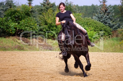 Reitsport auf dem Friesen Pferd im Sommer