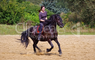 Reitsport auf dem Friesen Pferd im Sommer