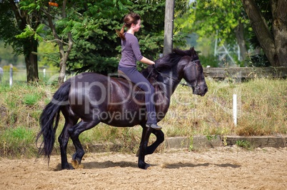 Reitsport auf dem Friesen Pferd im Sommer