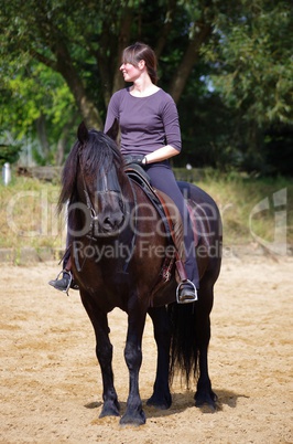 Reitsport auf dem Friesen Pferd im Sommer