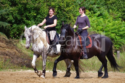 Reitsport auf dem Friesen Pferd im Sommer