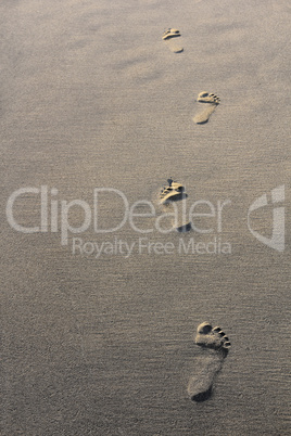 Walking footprints on sandy beach