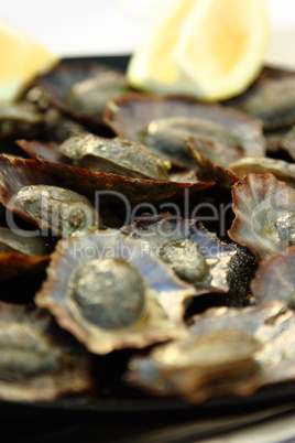 Grilled Limpets