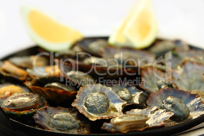 Grilled Limpets