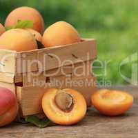 Aprikosen in einem Korb