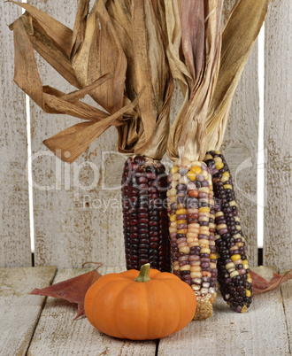 Indian Corn And Pumpkin