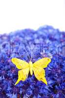 Spring blue cornflower with yellow butterfly
