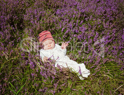 baby lying on pink heather