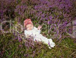 baby lying on pink heather