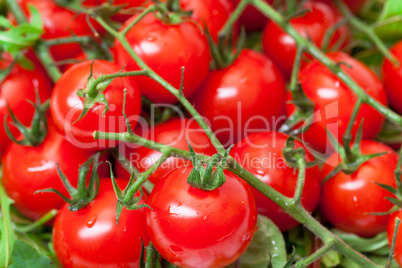 Background of Ripe Cherry Tomatoes