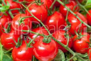 Background of Ripe Cherry Tomatoes